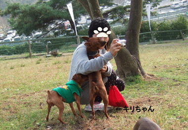 c0012571_1951113.gif