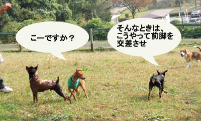 c0012571_19512725.gif