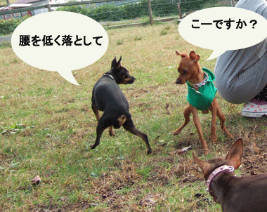 c0012571_1952318.gif
