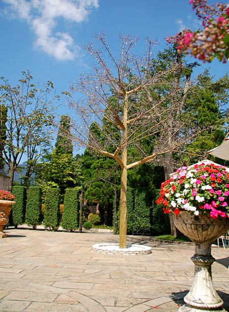 c0009981_1044287.jpg