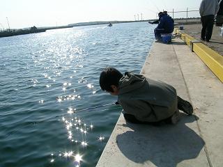 c0057781_936323.jpg