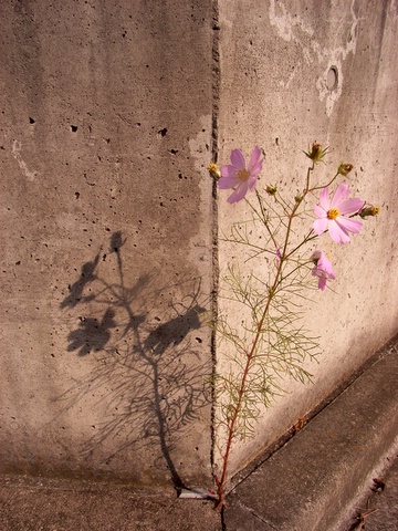 a0043982_19344243.jpg