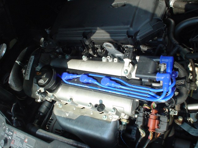 a0093282_1226536.jpg