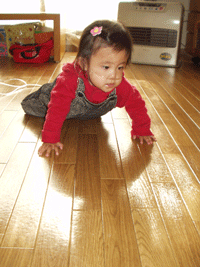 b0076085_14371610.gif
