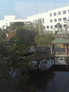 f0005386_9212915.jpg