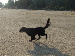 d0070289_21321787.jpg