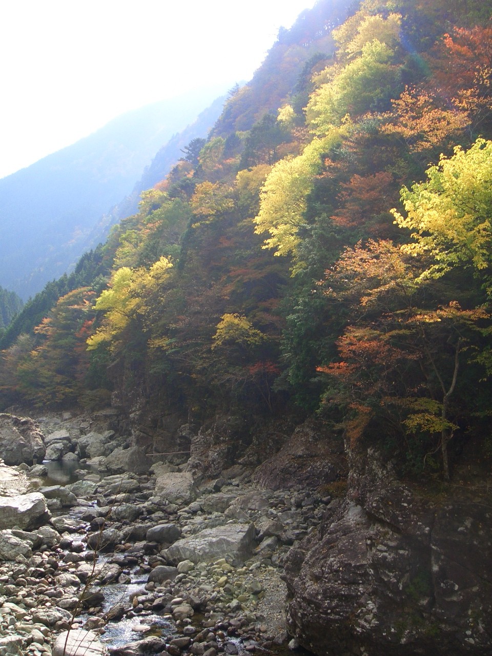 b0092694_2211429.jpg