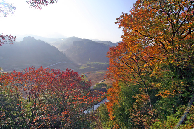 c0025895_22331519.jpg