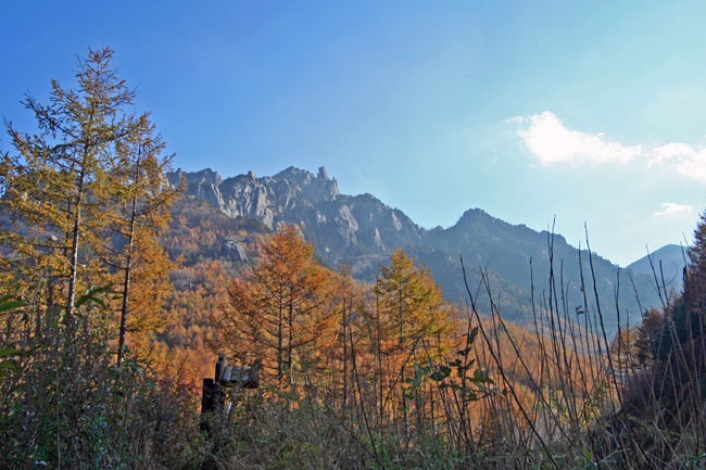 c0025895_22342423.jpg