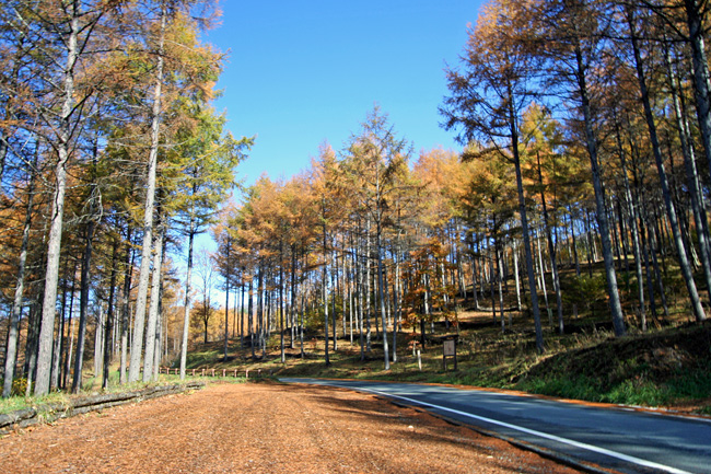 c0025895_22352659.jpg