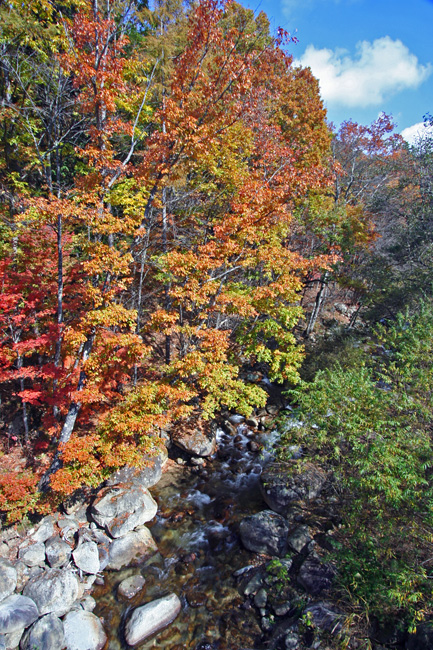 c0025895_22381025.jpg