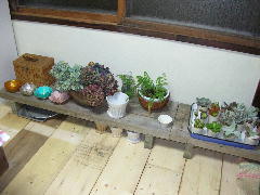 a0088896_19473835.jpg