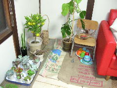 a0088896_19475935.jpg