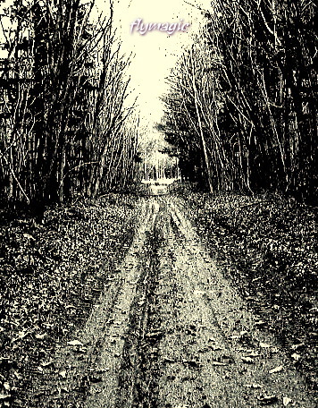 e0035597_175312.jpg
