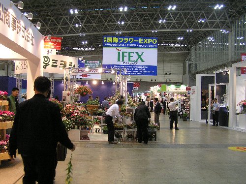 f0054197_21332393.jpg