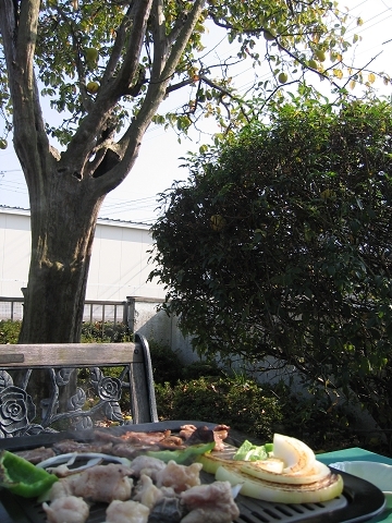 b0097898_13362470.jpg