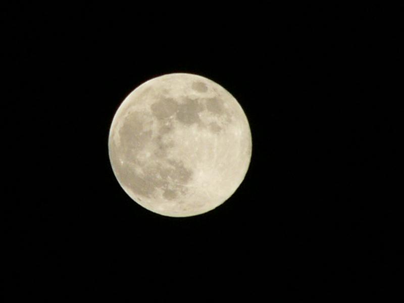 a0018200_1149643.jpg