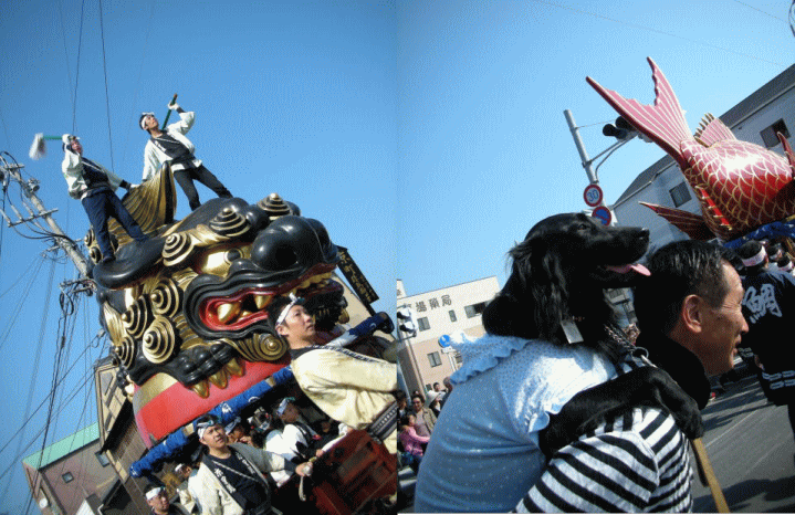 c0017311_11223628.gif