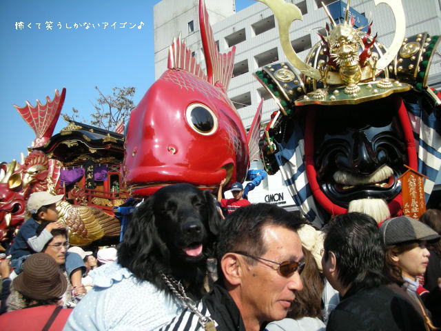 c0017311_11243870.jpg