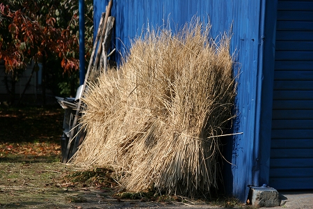 a0036412_23243356.jpg