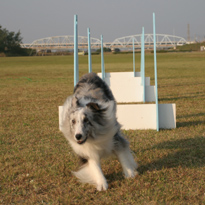 f0108112_22511325.jpg
