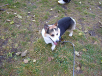 e0007313_21384354.jpg