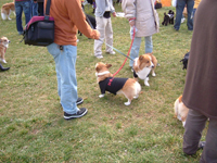 e0007313_222334.jpg