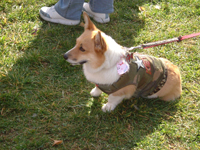 e0007313_2232574.jpg