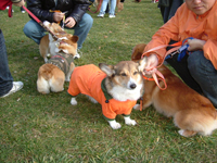 e0007313_2242122.jpg