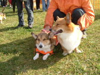 e0007313_2251579.jpg