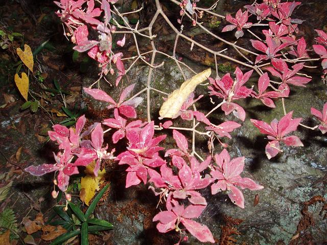 c0086014_23171357.jpg