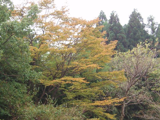 c0086014_23173882.jpg