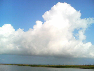 a0049715_22391631.jpg