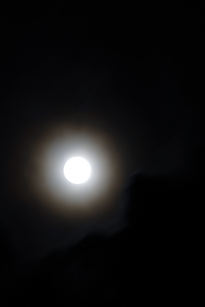 d0085715_013897.jpg