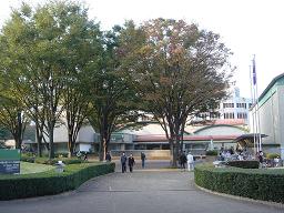 b0077117_1410476.jpg