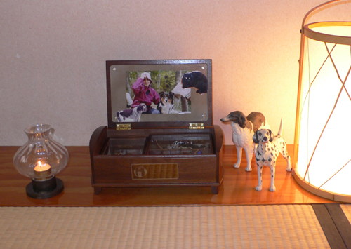 f0060424_23302.jpg