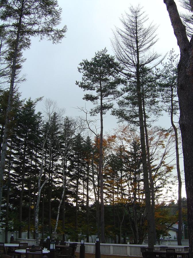 f0109825_1251911.jpg