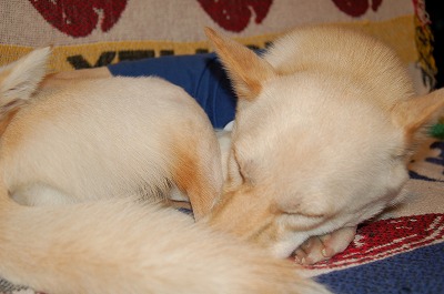 b0006329_033640.jpg