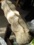 f0011734_1444981.jpg