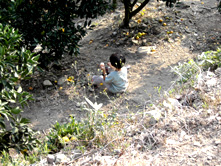 f0039934_11293933.jpg
