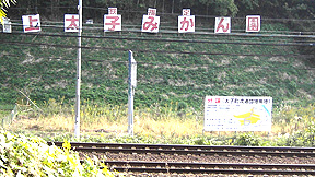 f0039934_1129815.jpg