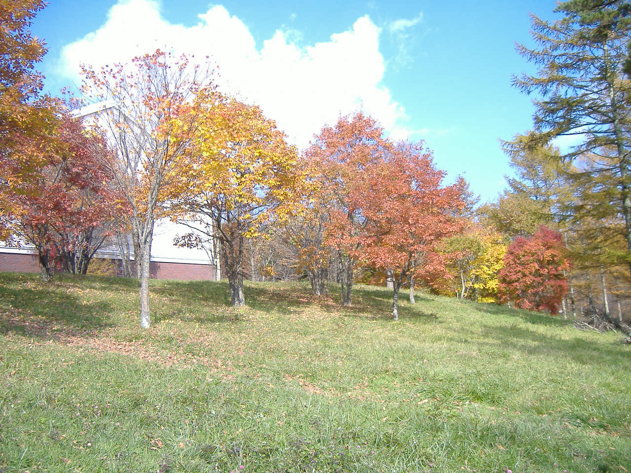 a0005436_2228065.jpg