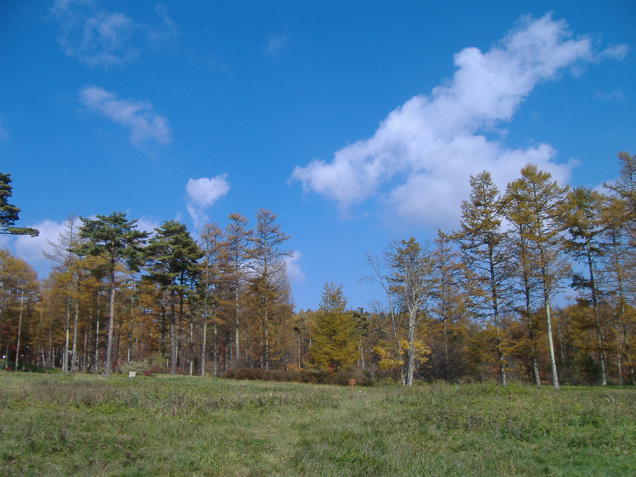 a0005436_22302930.jpg