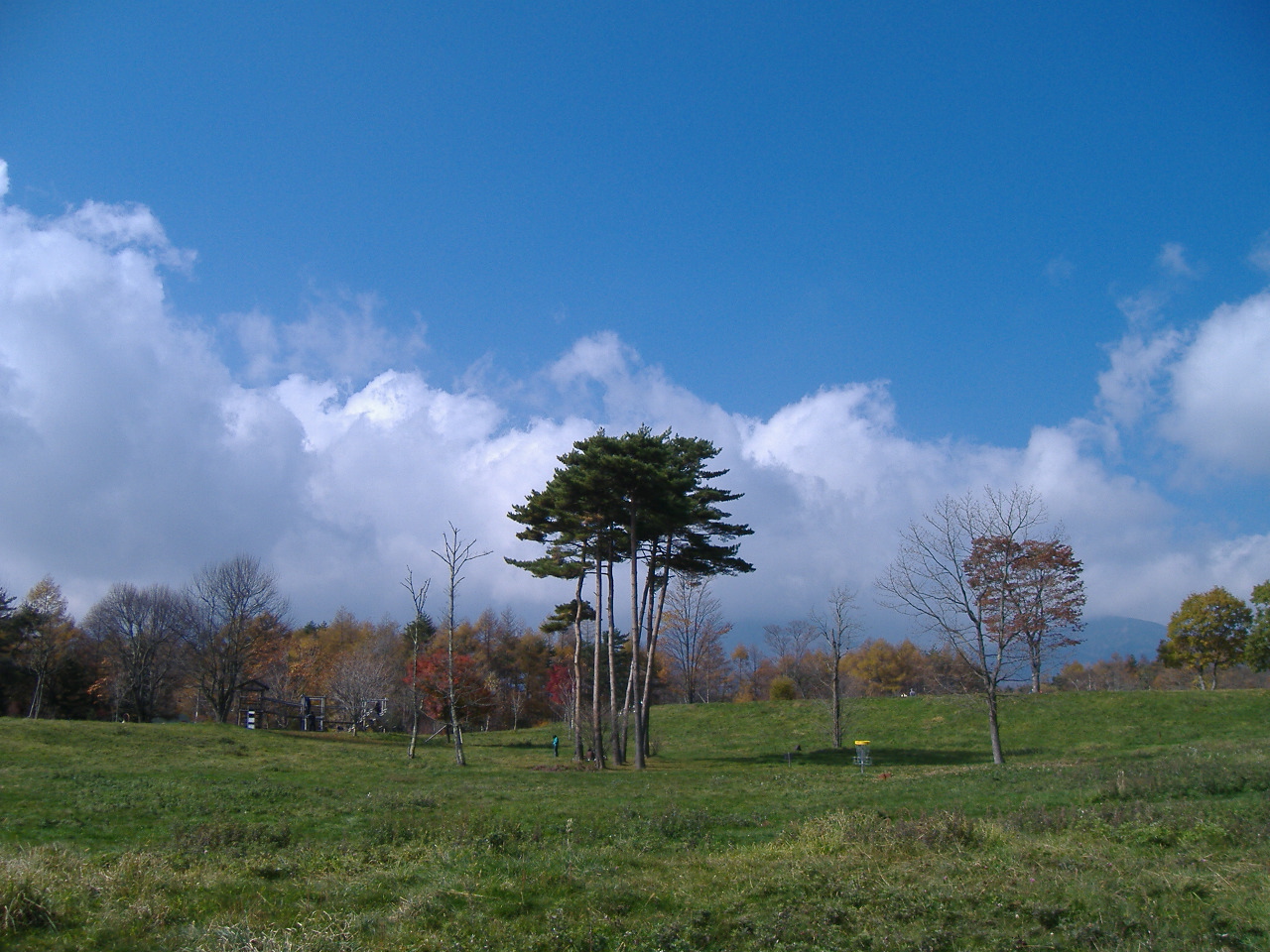 a0005436_2230462.jpg