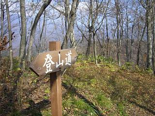 f0003138_14105450.jpg