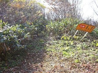 f0003138_14182034.jpg