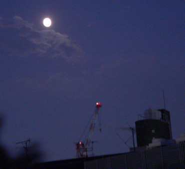 f0011738_2148583.jpg