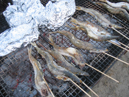 f0015838_1163545.jpg
