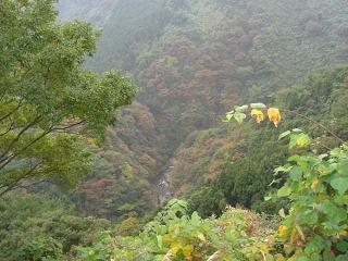 a0048040_17401781.jpg