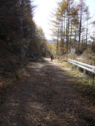 f0065941_17234797.jpg